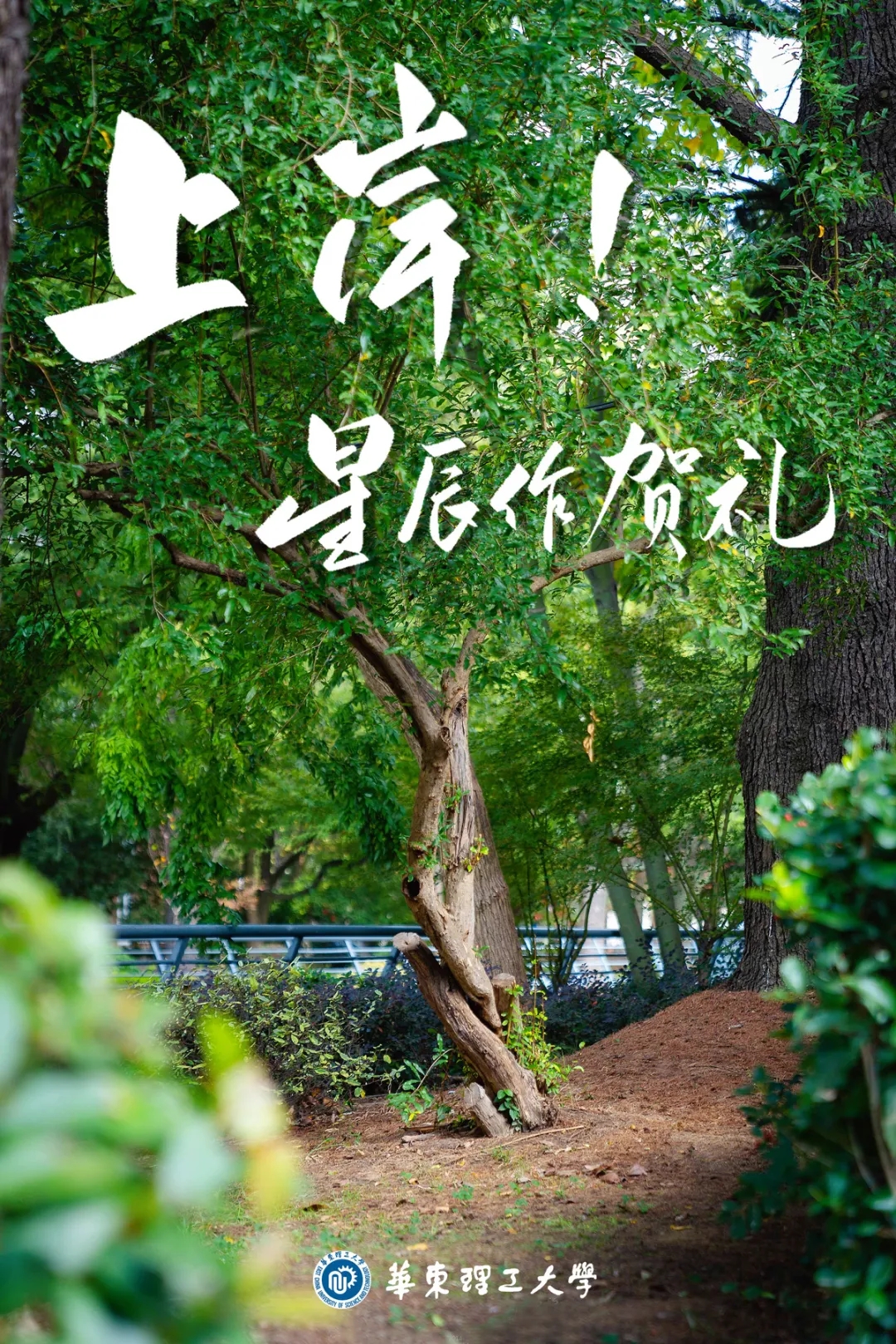 5c040b39d08687b5b43efef65427a427_640_wx_fmt=jpeg&tp=webp&wxfrom=5&wx_lazy=1&wx_co=1.webp